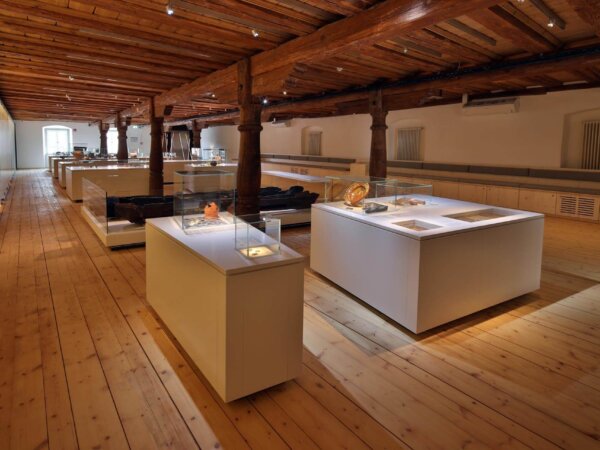 Archäologische Fundstücke in Themenblöcken