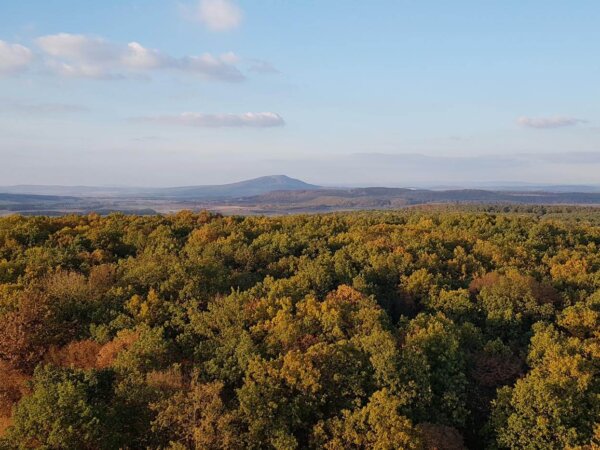 Blick in die Landschaft des Grabfelds