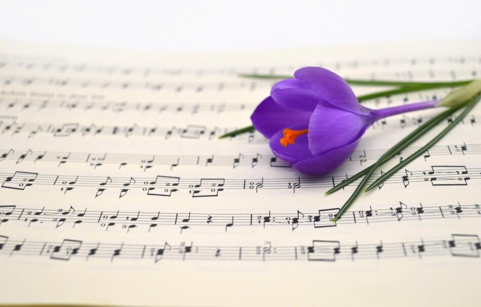 Frühlingskonzert Gesangverein Harmonia Foto